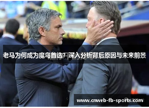 老马为何成为魔鸟首选？深入分析背后原因与未来前景