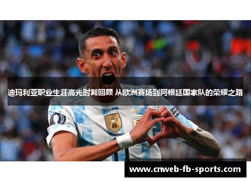 迪玛利亚职业生涯高光时刻回顾 从欧洲赛场到阿根廷国家队的荣耀之路