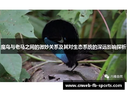 魔鸟与老马之间的微妙关系及其对生态系统的深远影响探析